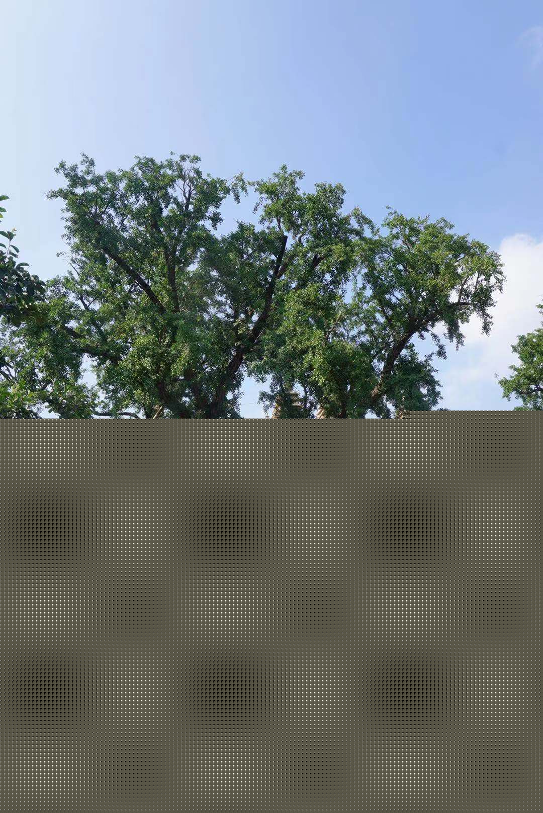 e88fb9ccba02318e09fae08aa94ef30.jpg e88fb9ccba02318e09fae08aa94ef30.jpg