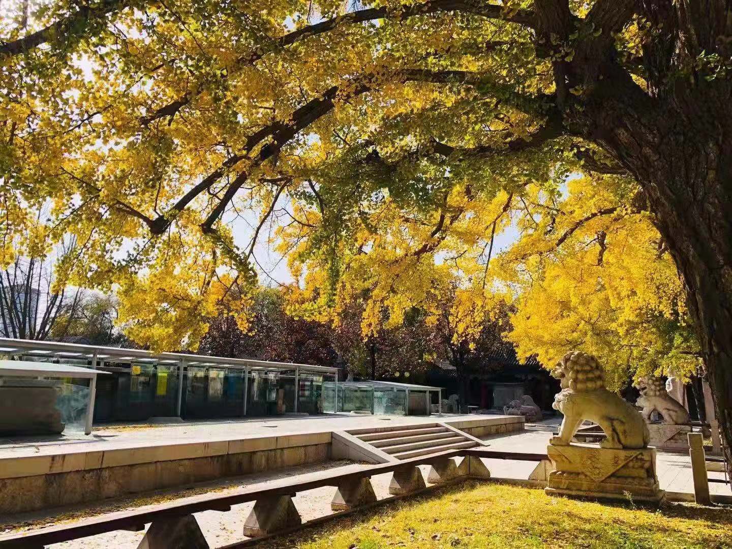 4b6b3c1ac61db4f5b5ca2577b40447f.jpg 4b6b3c1ac61db4f5b5ca2577b40447f.jpg