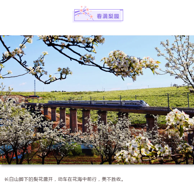 C:\Users\Administrator\Desktop\新建文件夹 (2)\春满梨园.png