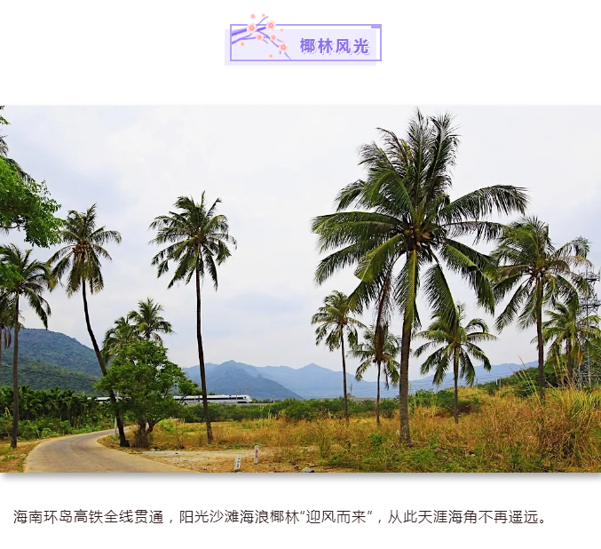 C:\Users\Administrator\Desktop\新建文件夹 (2)\椰林风光.png