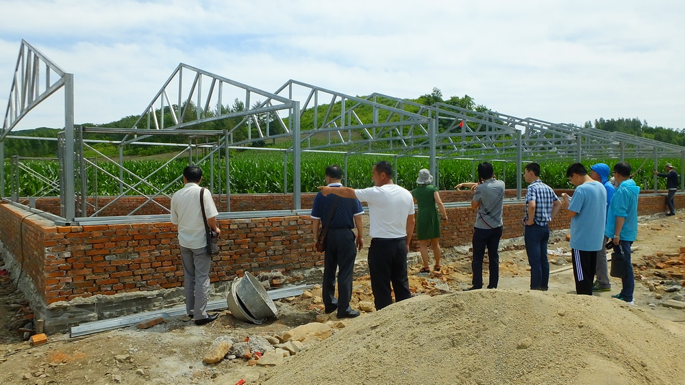 帮扶干部查看黄牛养殖场建设工地