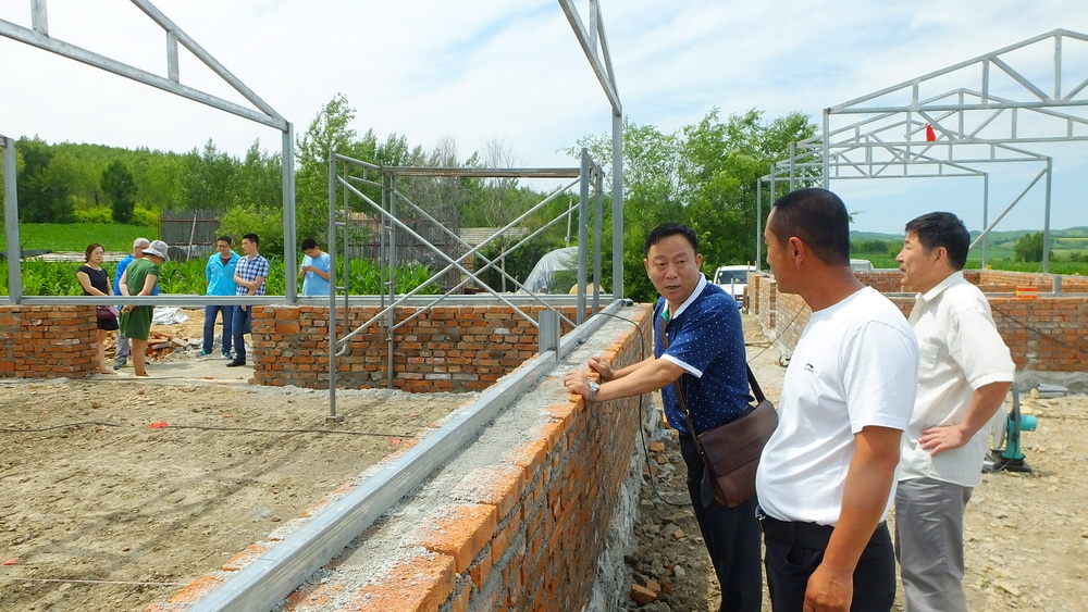 帮扶干部查看黄牛养殖场建设工地